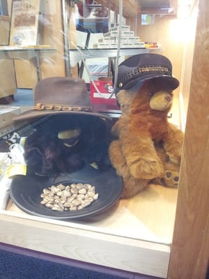 Bear and Raven Adventure Theater by null