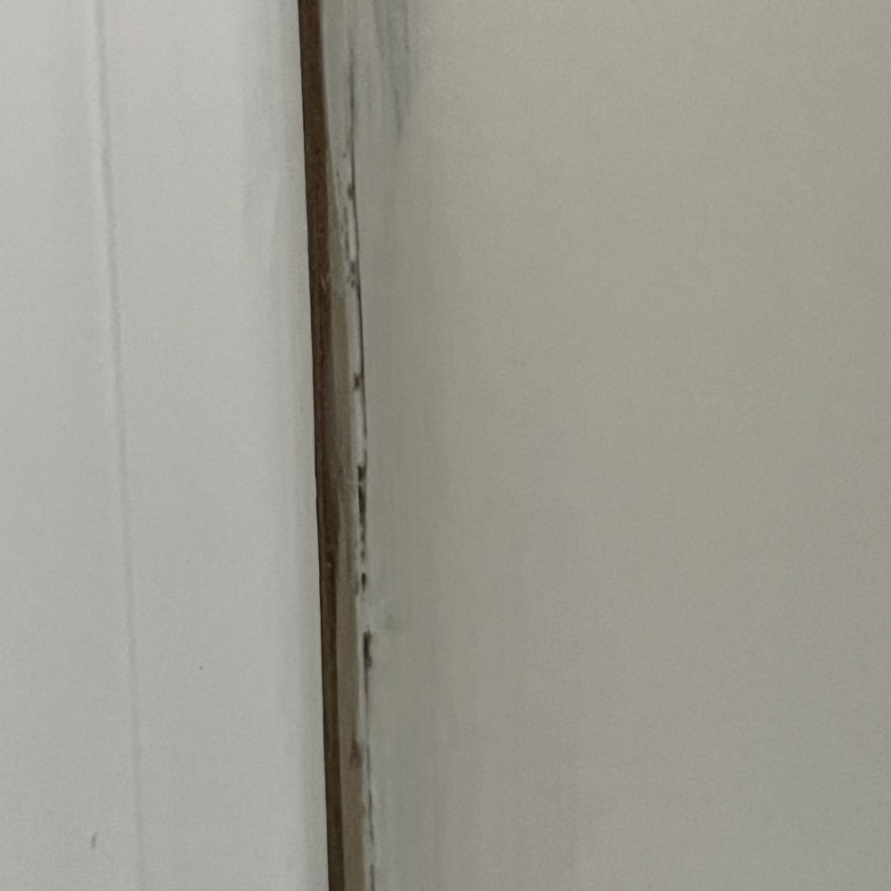 Harmony Designs Painting - The door trim edge that wasn't even painted and you can see the edge work - Painters Near Me - Elkhart, Indiana Harmony Designs Painting - The door trim edge that wasn't even painted and you can see the edge work - Painters Near Me - Elkhart, Indiana