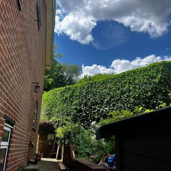 Woodland Garden Services - Gardeners Near Me - Godalming, SRY Woodland Garden Services - Gardeners Near Me - Godalming, SRY