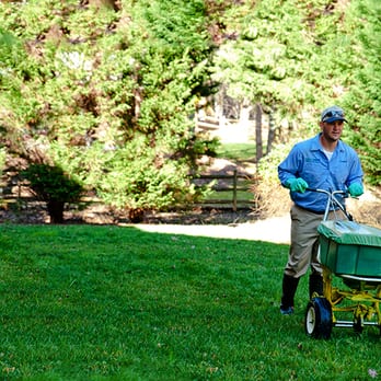 SpringGreen - a man with a wheelbarrow - Tree Services Near Me SpringGreen - a man with a wheelbarrow - Tree Services Near Me