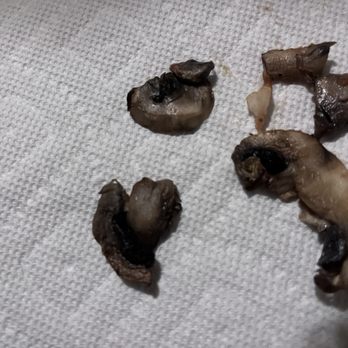 Da Boyz Pizza & Pasta - These are the mushrooms that could've ended my life. - Italian Near Me - Yuma, Arizona