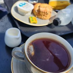 The Mary Rose Museum - Cream tea