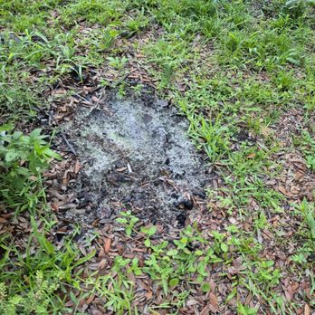 CSI Florida Landscaping - Landscaping Near Me - Jacksonville, Florida