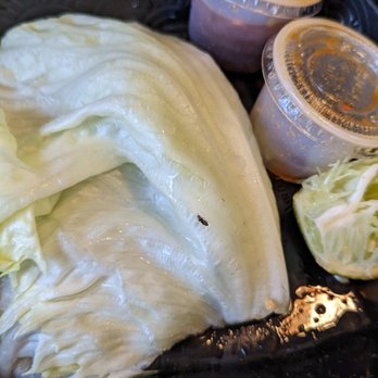 P.F. Chang's - This is a fruit fly in my lettuce for the lettuce wraps. - Chinese Near Me - Richmond, Virginia P.F. Chang's - This is a fruit fly in my lettuce for the lettuce wraps. - Chinese Near Me - Richmond, Virginia