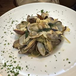 Linguine Vongole