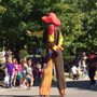 Fall Foliage Festival