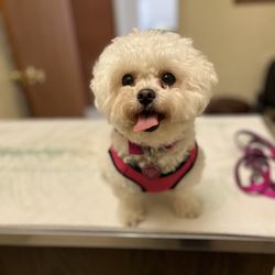 Sun City Veterinary Clinic