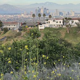 DTLA Views from Kenneth Hahn View Point DTLA Views from Kenneth Hahn View Point