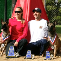 Sublime Canine - "The mediocre teacher tells. The good teacher explains. The superior teacher demonstrates. The great teacher inspires."
