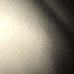 This piling is everywhere on the underside