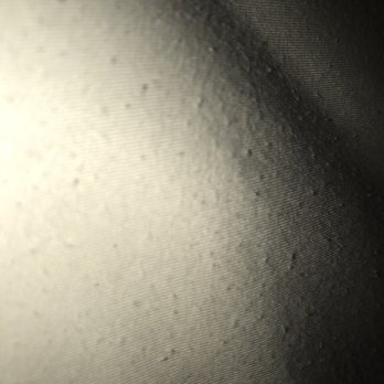 Comphy - This piling is everywhere on the underside - Home Decor Near Me - Ferndale, Washington
