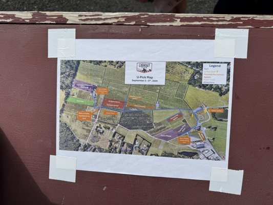 Belkin Family Lookout Farm - U-Pick Orchard - Taproom, Outdoor Dining and Market by null