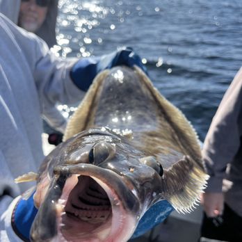 The Bites On Fishing Charters - Fishing Near Me The Bites On Fishing Charters - Fishing Near Me