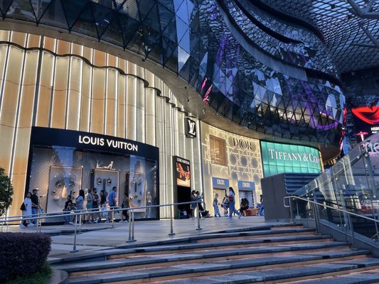 ION Orchard by null