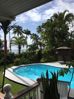 Orchid Tree Bed & Breakfast by null