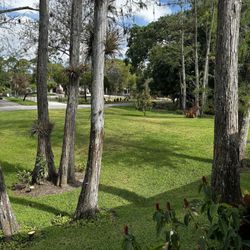 Sabal Palm Lawn Services