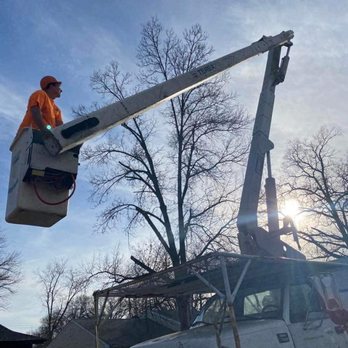 Dorian Tree Care - Tree Services Near Me - St. Louis, Missouri Dorian Tree Care - Tree Services Near Me - St. Louis, Missouri