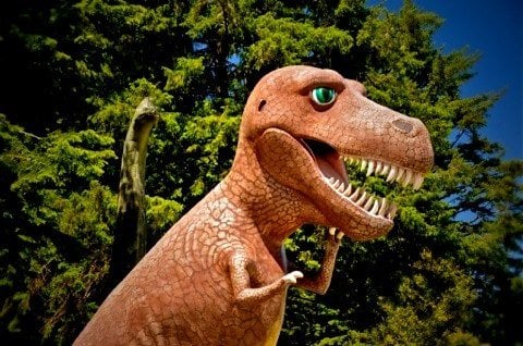 Prehistoric Gardens by null