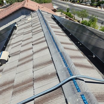 Panda Solar - Bird spikes installed. - Solar Installation Near Me