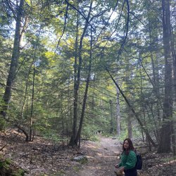 Mount Tom State Reservation - On the trail
