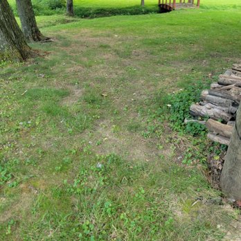 Lawn Masters - This area used to be the nicest grass - under the tree. - Lawn Services Near Me - Newburgh, Indiana