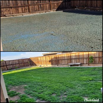 Dixon Hydroseeding - before and after photos of a backyard - Lawn Services Near Me - Hesperia, California Dixon Hydroseeding - before and after photos of a backyard - Lawn Services Near Me - Hesperia, California