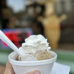 Chocolate Moose - Almond Joy single scoop in a cup