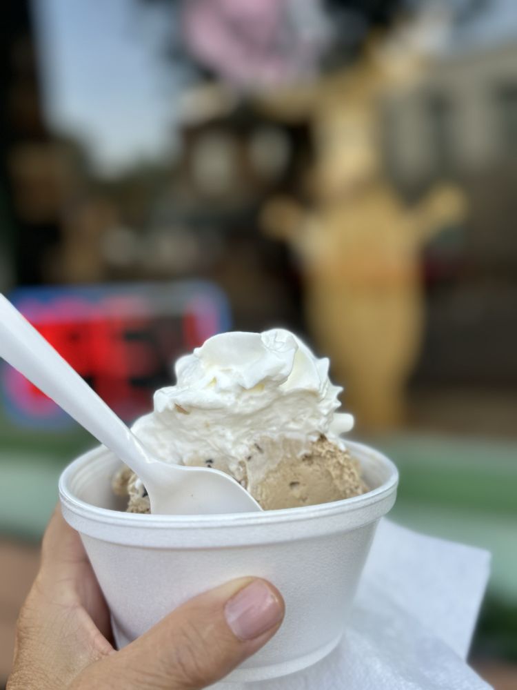 Chocolate Moose Logo