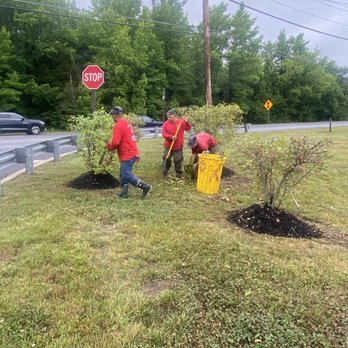 Nativer Tree Expert - Tree Services Near Me - Harwood, Maryland
