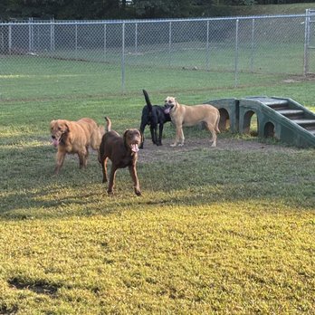 Upstate Dog Training & Pet Resort Greer - Pet Training Near Me - Greer, South Carolina Upstate Dog Training & Pet Resort Greer - Pet Training Near Me - Greer, South Carolina