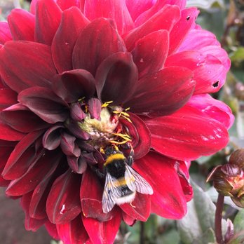 Palmengarten - Botanical Gardens Near Me - Frankfurt, HE