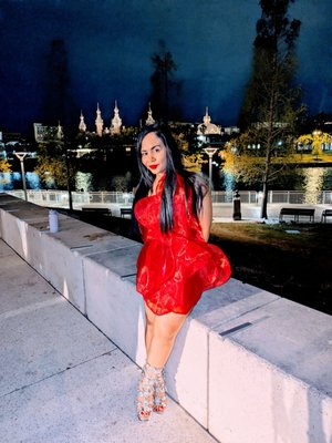 Tampa Museum of Art by null