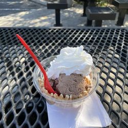 Bruster's Real Ice Cream - Smores with Whipped Cream ( Ice Cream Waffle Bowl )
