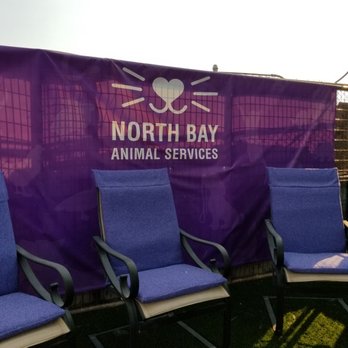 North Bay Animal Services - More seating area. - Animal Shelters Near Me - Petaluma, California