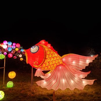 Franklin Park Zoo - Boston lantern festival - Zoos Near Me - Boston, Massachusetts Franklin Park Zoo - Boston lantern festival - Zoos Near Me - Boston, Massachusetts