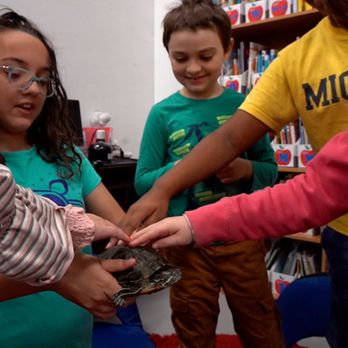 Advanced Academics Academy - Preschools Near Me - Pooler, Georgia