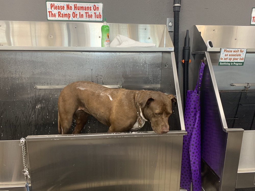 LEMOS FEED & PET SUPPLY 10 Photos & 25 Reviews 1620 N H St, Lompoc