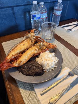 La Cocedora De Langosta by null