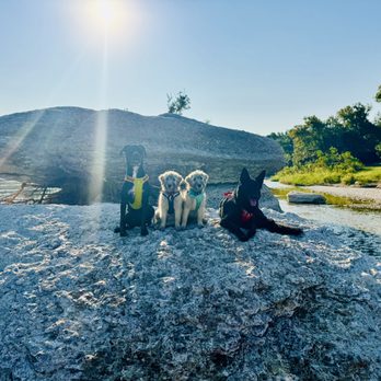 Apollo Dog Training - Adventures at Garey Park - Pet Training Near Me Apollo Dog Training - Adventures at Garey Park - Pet Training Near Me