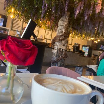 Sugar Tree Cafe - Cafes Near Me - Nutley, New Jersey
