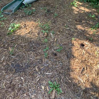 Bill & Gill's Property Maintenance - Lawn Services Near Me Bill & Gill's Property Maintenance - Lawn Services Near Me