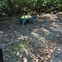 Photo of Cardinal Forest Park