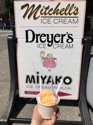 Miyako Old Fashion Ice Cream by null