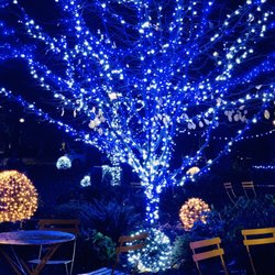 Denny Blaine Park - Christmas!
