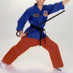 Tai Chi by Choes Flowery Branch
