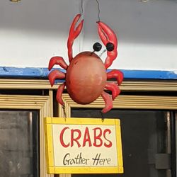 Fish Net Seafood