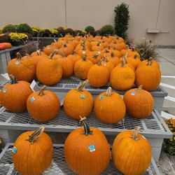 The Home Depot