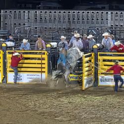 Rooftop Rodeo