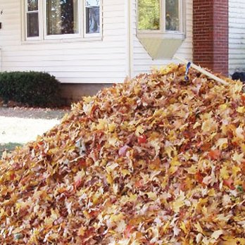 Junk Around - Junk Removal & Hauling Near Me - Jackson, New Jersey Junk Around - Junk Removal & Hauling Near Me - Jackson, New Jersey