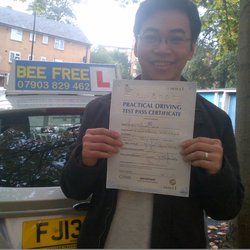 Bee Free Driving School